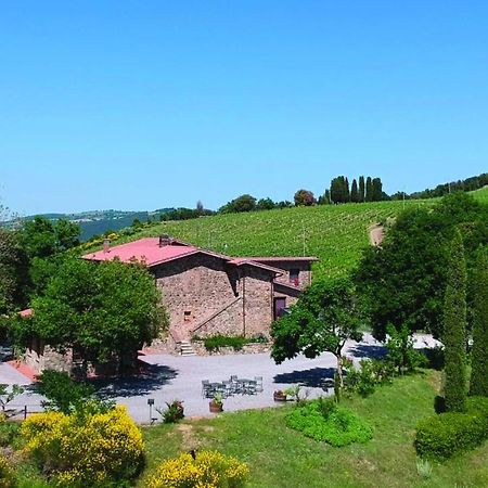 La Poderina Appartamenti Castelnuovo dell'Abate Luaran gambar